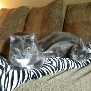 Meet your Posher, Gladys